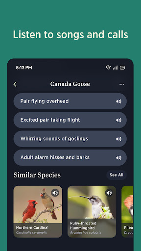 Audubon Bird Guide screenshot 4