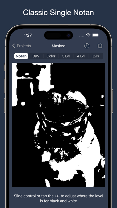 NotanIzer screenshot 2