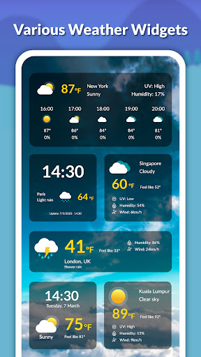 Live weather: Forecast, widget screenshot 3