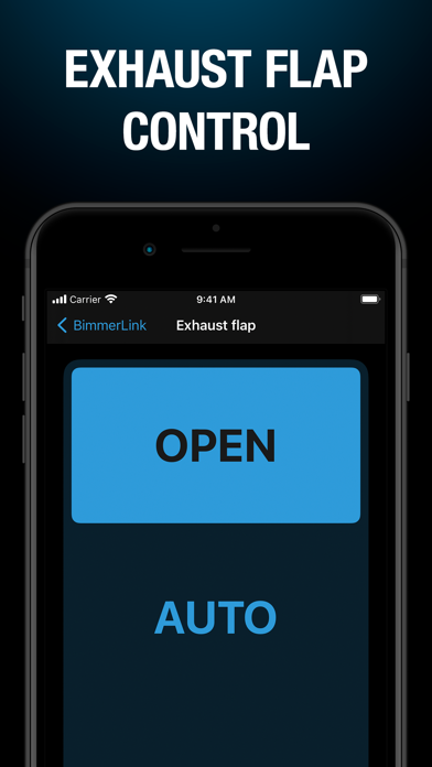 BimmerLink for BMW and MINI screenshot 9