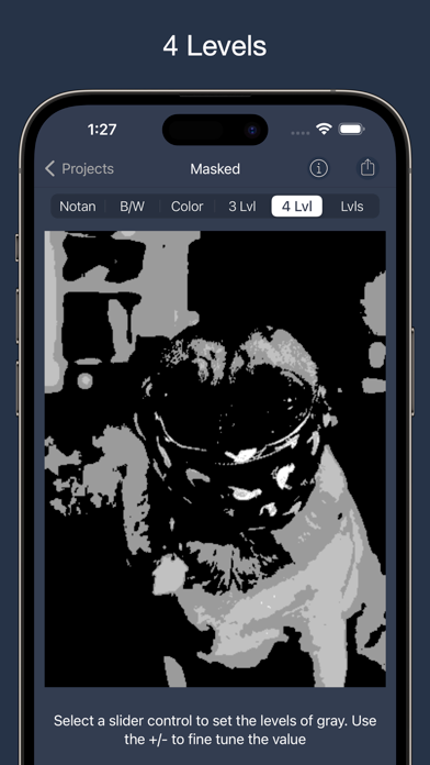 NotanIzer screenshot 6
