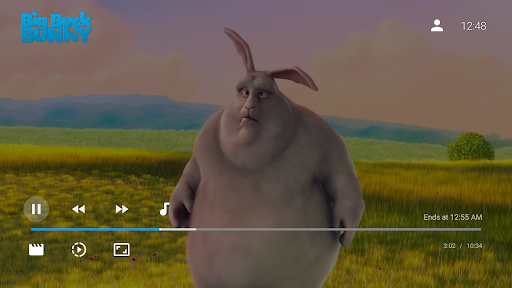 Jellyfin for Android TV screenshot 3