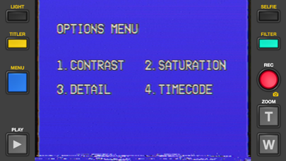 Rarevision VHS: Retro Cam screenshot 3