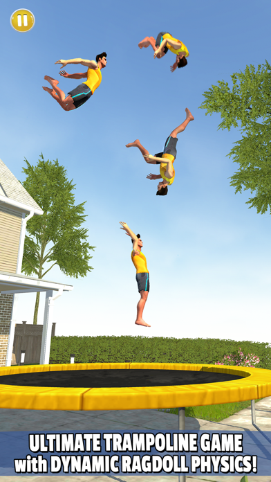 Flip Master screenshot 1