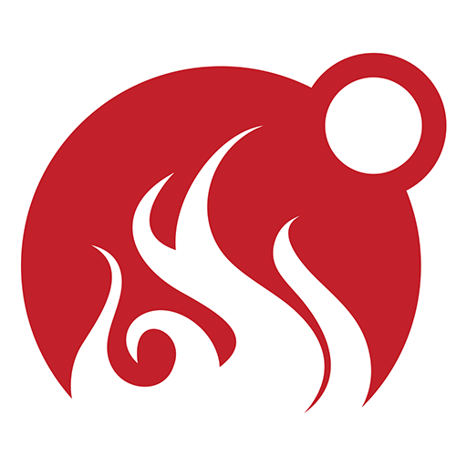 MEATER® Smart Meat Thermometer cover