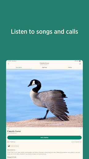 Audubon Bird Guide screenshot 9