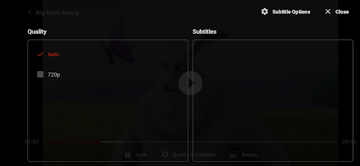 ZoZo Player - URL Video Player screenshot 9