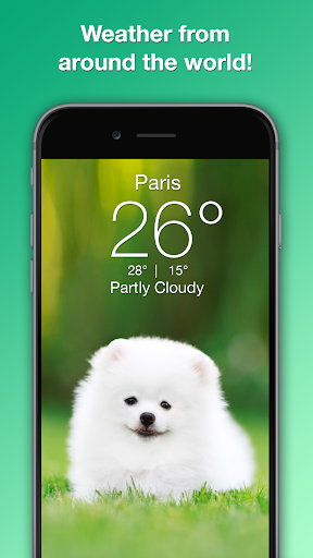 Weather Puppy - App & Widget screenshot 7