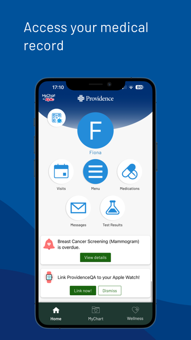 Providence screenshot 5