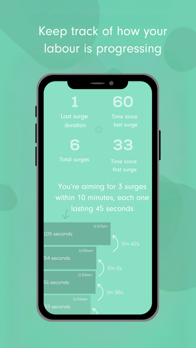 Freya - surge timer for labour screenshot 3