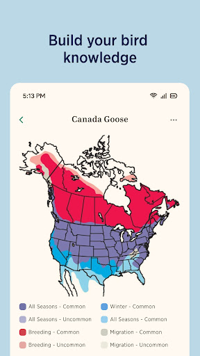 Audubon Bird Guide screenshot 6