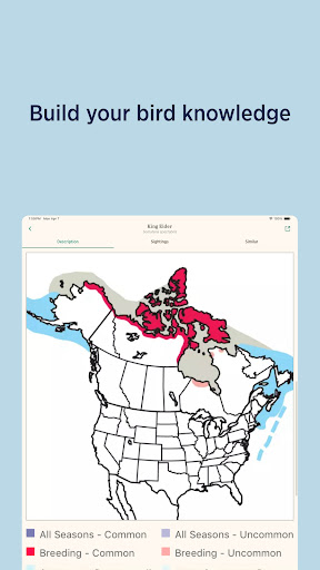 Audubon Bird Guide screenshot 11