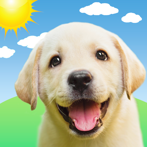 Weather Puppy - App & Widget cover
