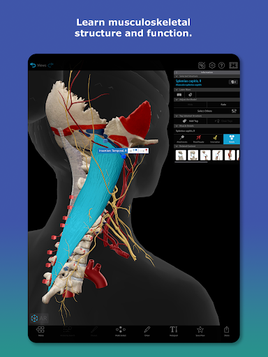 Human Anatomy Atlas 2026 screenshot 8