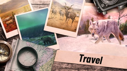 Hunting Clash: Sniper Shooting screenshot 2