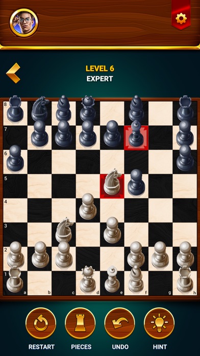 Chess - Offline Board Game screenshot 3