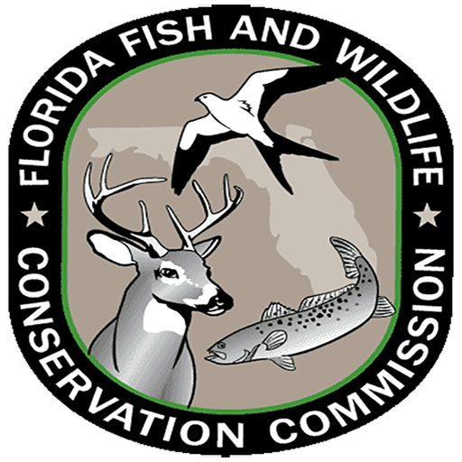 Fish|Hunt FL cover
