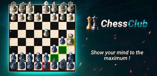 Chess - Offline Board Game screenshot 20