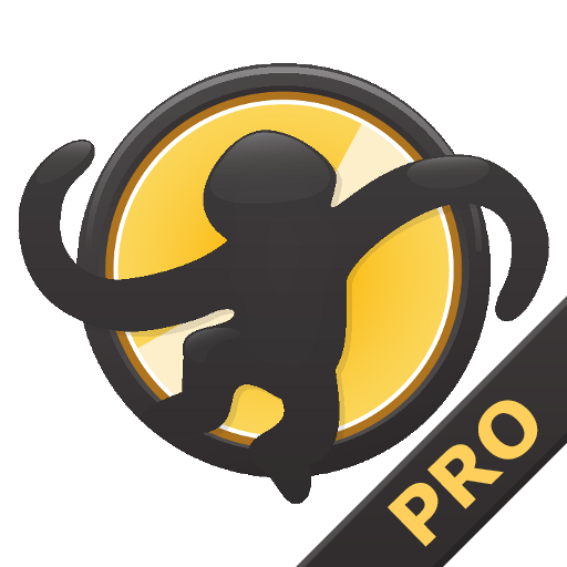 MediaMonkey Pro cover