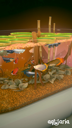 AQUALIA screenshot 3