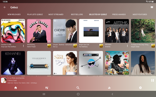 USB Audio Player PRO screenshot 21