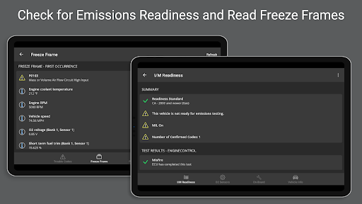 OBD Fusion (Car Diagnostics) screenshot 13