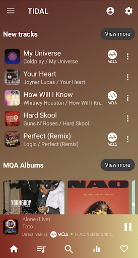 USB Audio Player PRO screenshot 8