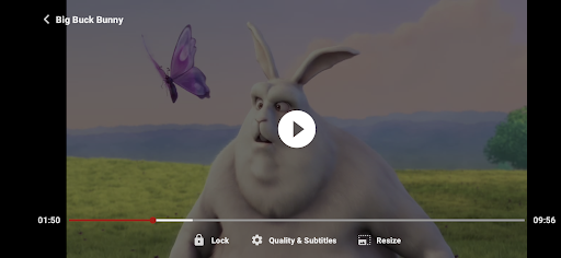 ZoZo Player - URL Video Player screenshot 9