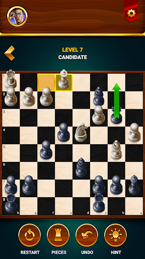 Chess - Offline Board Game screenshot 6
