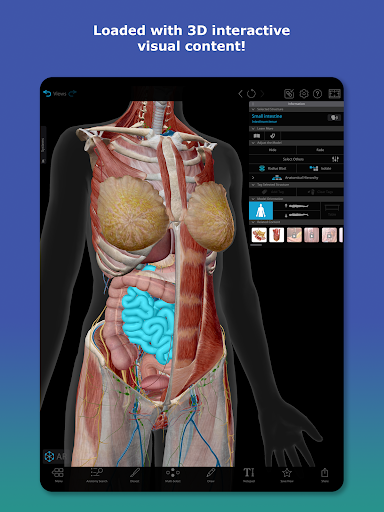 Human Anatomy Atlas 2026 screenshot 2