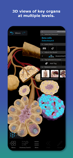 Human Anatomy Atlas 2026 screenshot 9