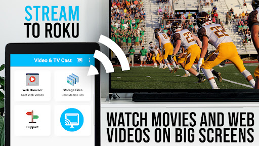 TV Cast Pro for Roku screenshot 9