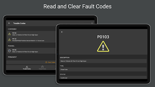 OBD Fusion (Car Diagnostics) screenshot 21