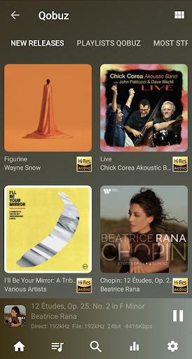 USB Audio Player PRO screenshot 11