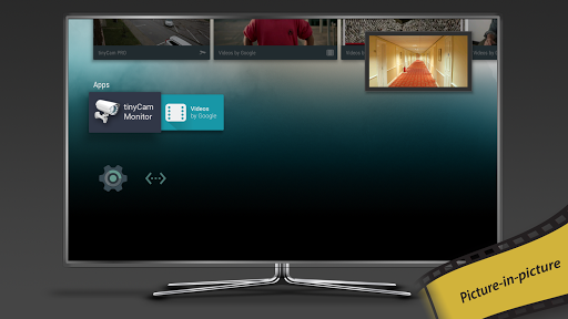 tinyCam Monitor PRO for IP Cam screenshot 33