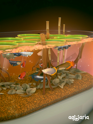 AQUALIA screenshot 9