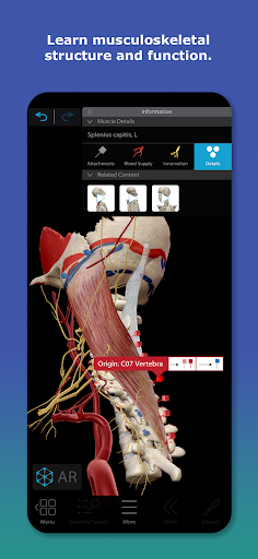 Human Anatomy Atlas 2026 screenshot 4