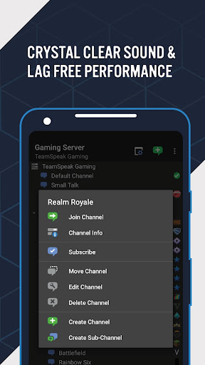 TeamSpeak 3 - Voice Chat screenshot 5