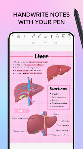 Penly: Digital Planner & Notes screenshot 24