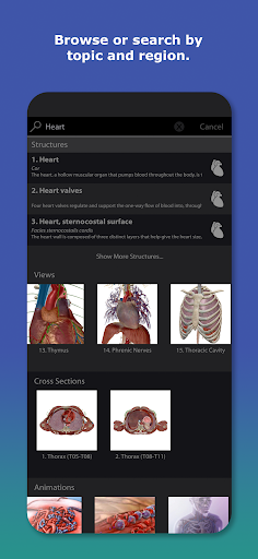 Human Anatomy Atlas 2026 screenshot 7