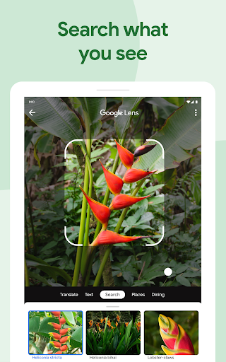 Google Photos screenshot 12