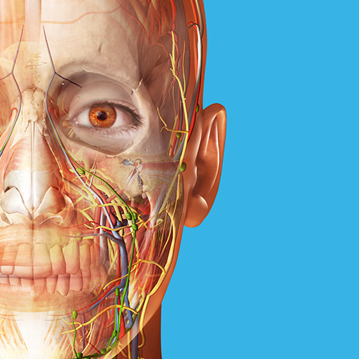 Human Anatomy Atlas 2026 cover