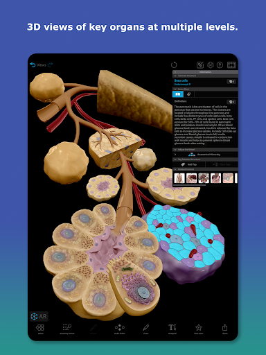 Human Anatomy Atlas 2026 screenshot 5
