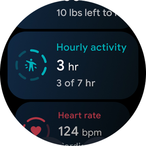 Google Health (Fitbit) screenshot 12