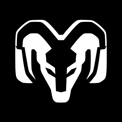 RAM cover